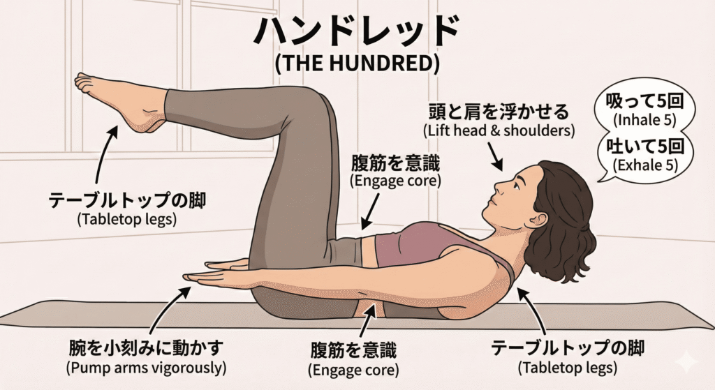 全身の血流を促す「ハンドレッド」図解